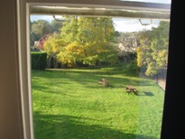 0656 - view of Luke's lawn from Rome